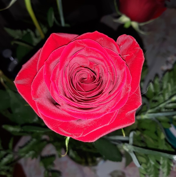 Meet your Posher, Jennifer - Picture 1 of 1